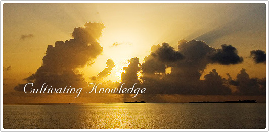 Cultivating Knowledge